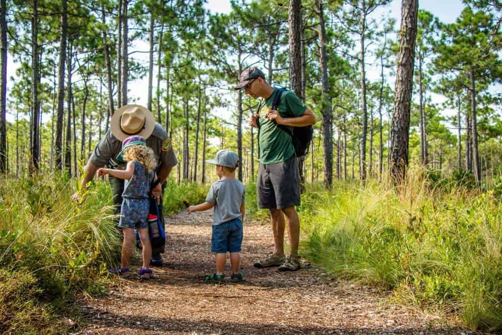 Carolina Beach State Park Ranger hike and explore Carolina Beach