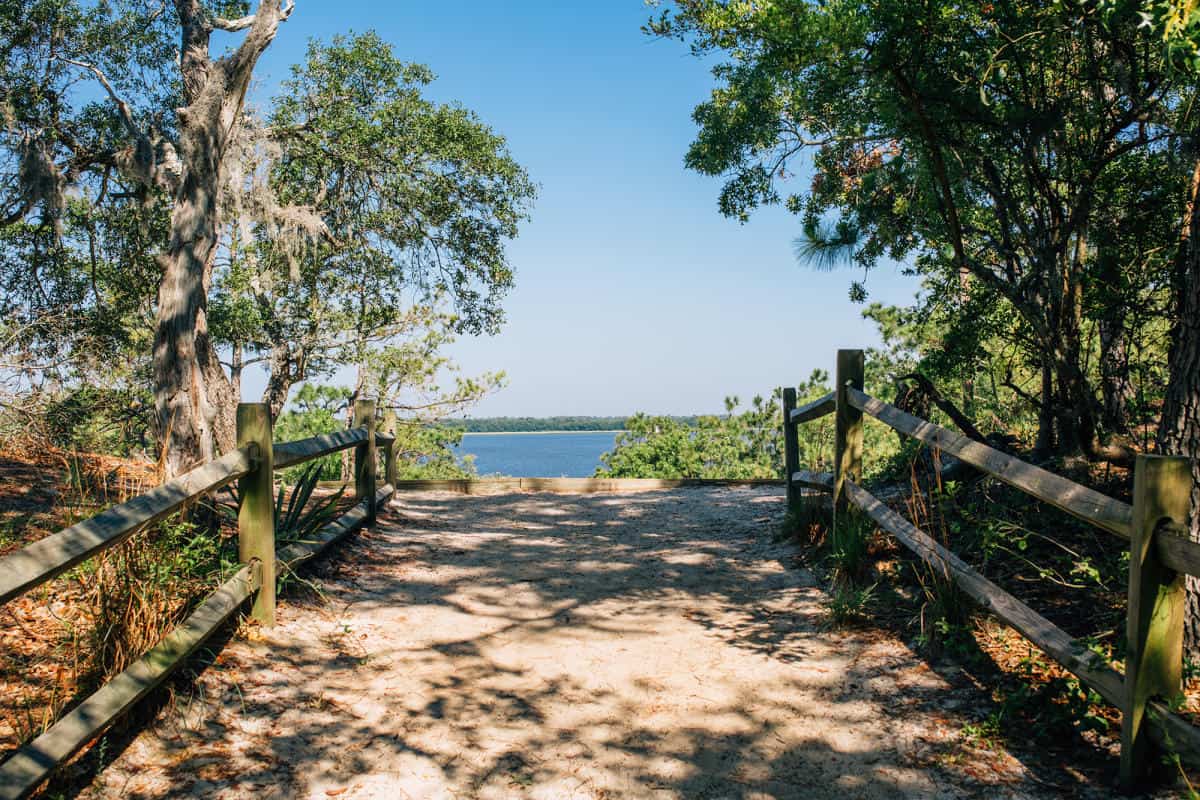 Sugarloaf Trail in the Carolina Beach State Park
