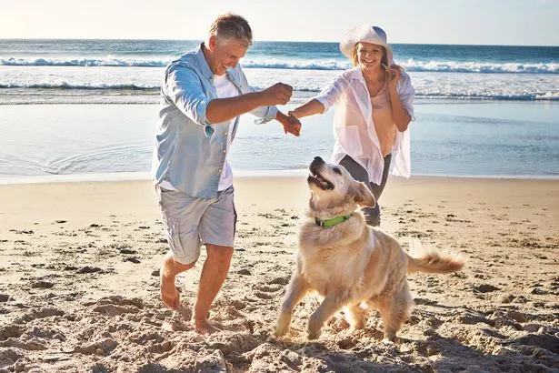 The Sunrise Shack in Carolina Beach is pet-friendly