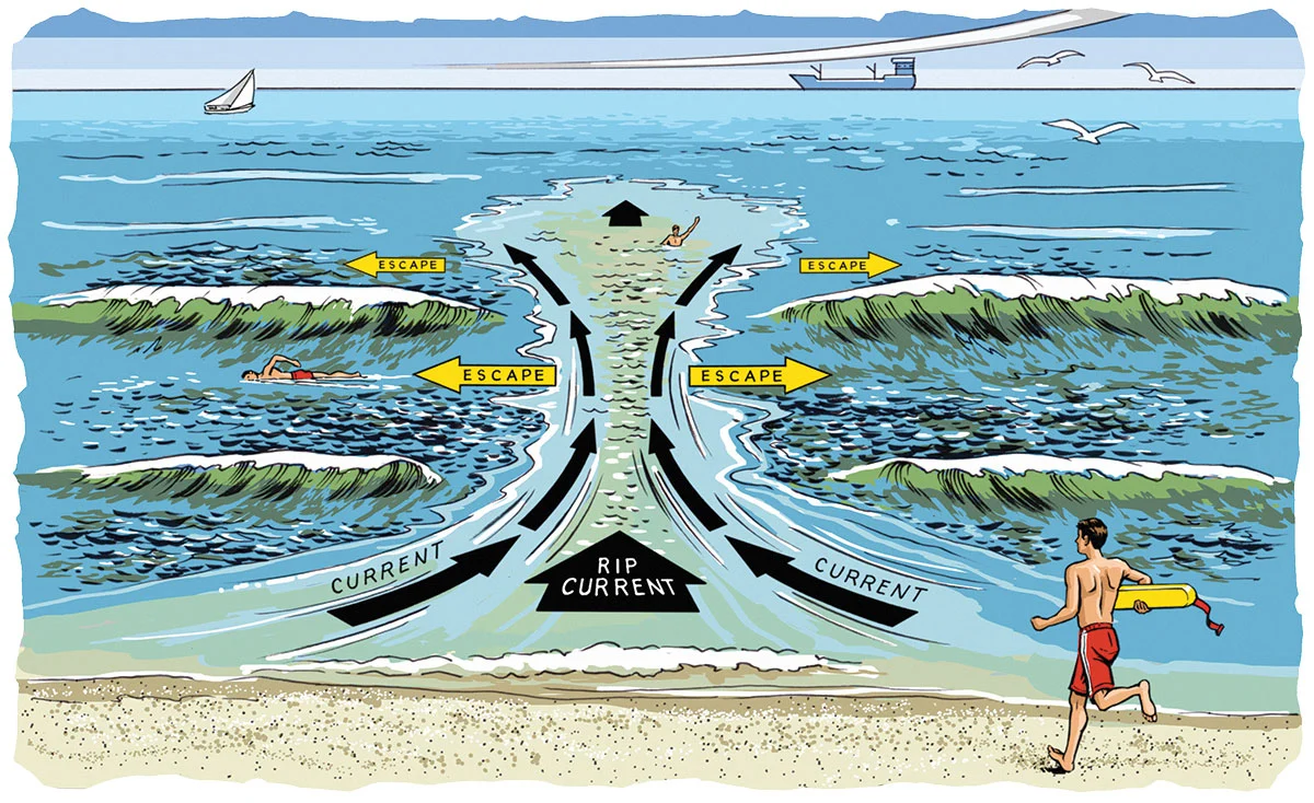 Learn Rip Current Safety in Carolina Beach North Carolina