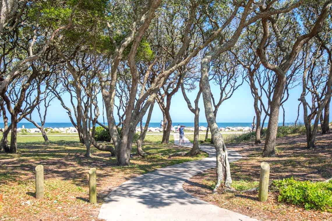 Historic Fort Fisher Live Oak Trees are Plentiful in Beautiful Fort Fisher, North Carolina