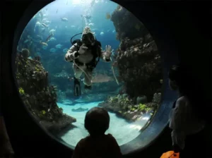 NC Aquarium Fort Fisher - Places to see, visit and explore in Wilmington, Carolina Beach, Kure Beach and Fort Fisher
