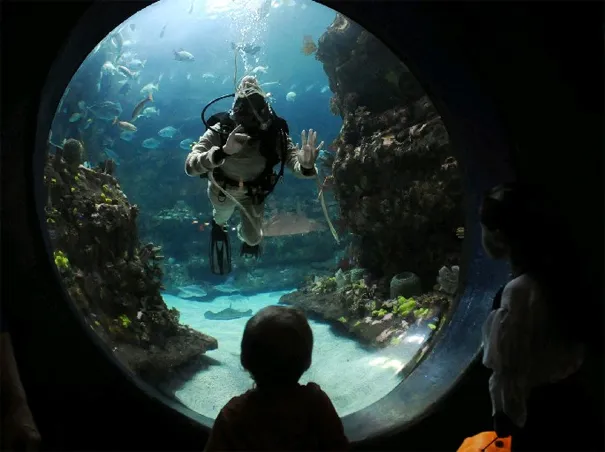 NC Aquarium Fort Fisher - Places to see, visit and explore in Wilmington, Carolina Beach, Kure Beach and Fort Fisher