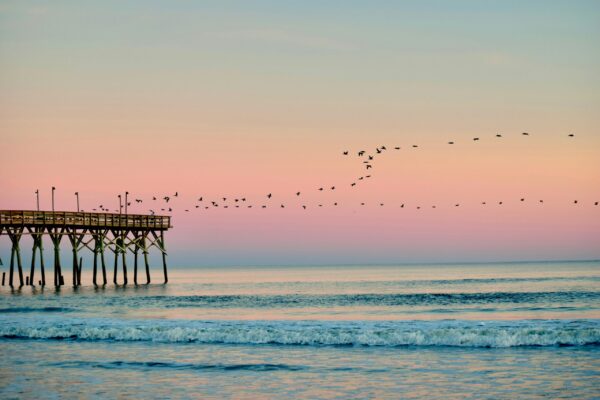 What Are the Best North Carolina Beaches to Visit?