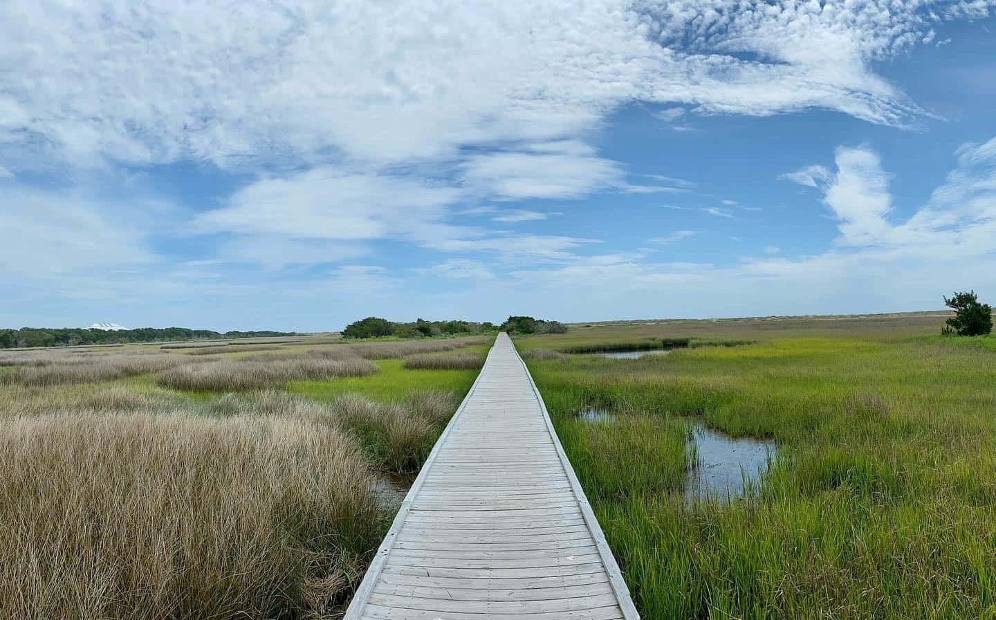 World War ll Trail in Fort Fisher North Carolina Marsh and River Basin Fort Fisher Hermit Trail - North Carolina Cottages