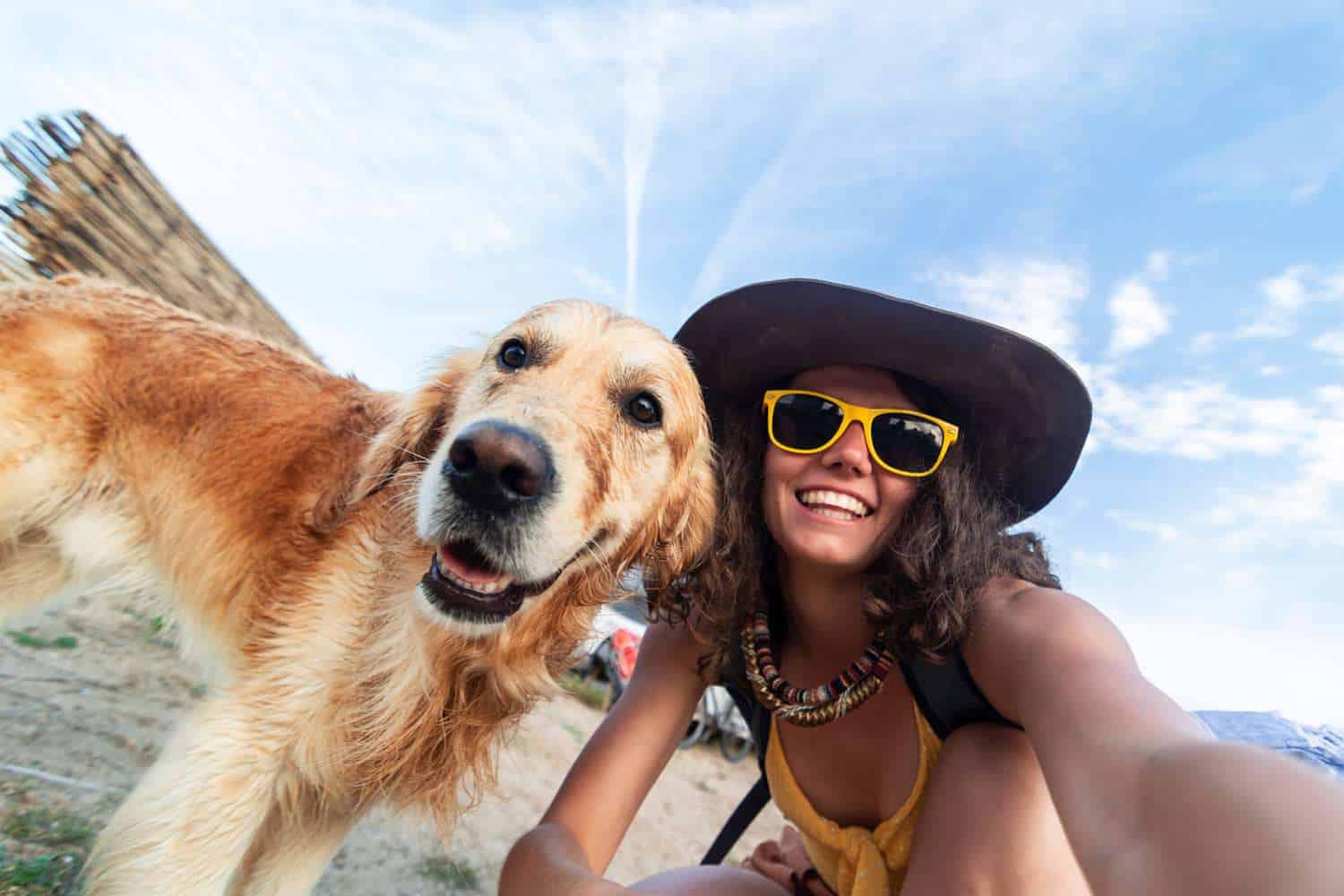 Best dog friendly beaches to visit in North Carolina