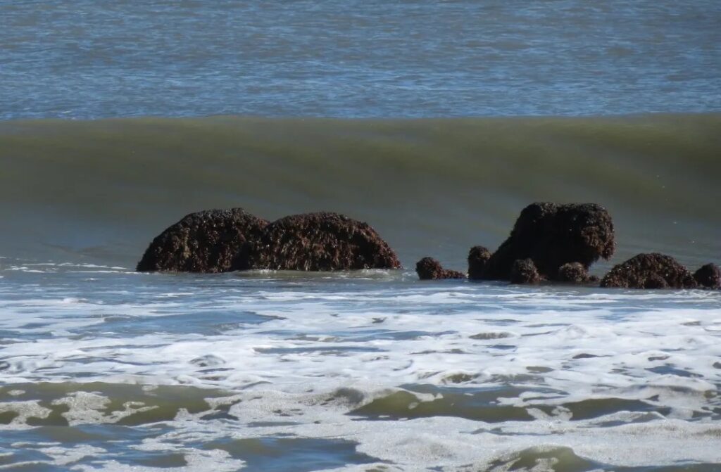 General Beauregard Shipwreck Located in Carolina Beach, North Carolina
