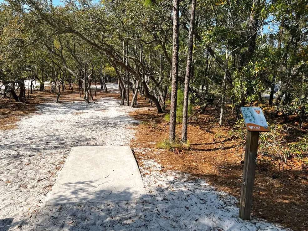 Trinity Disc Golf Course at Good Hops Brewing in Carolina Beach, North Carolina