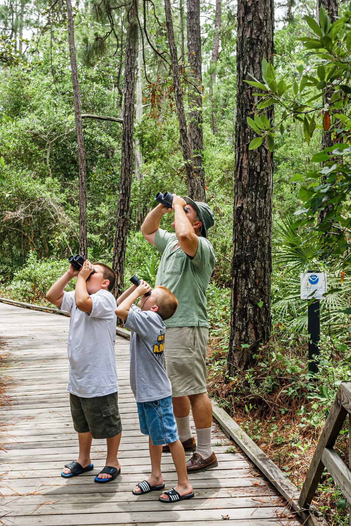 Birdwatching with the Family in Carolina Beach State Park - Family Friendly Things to Do in Carolina Beach