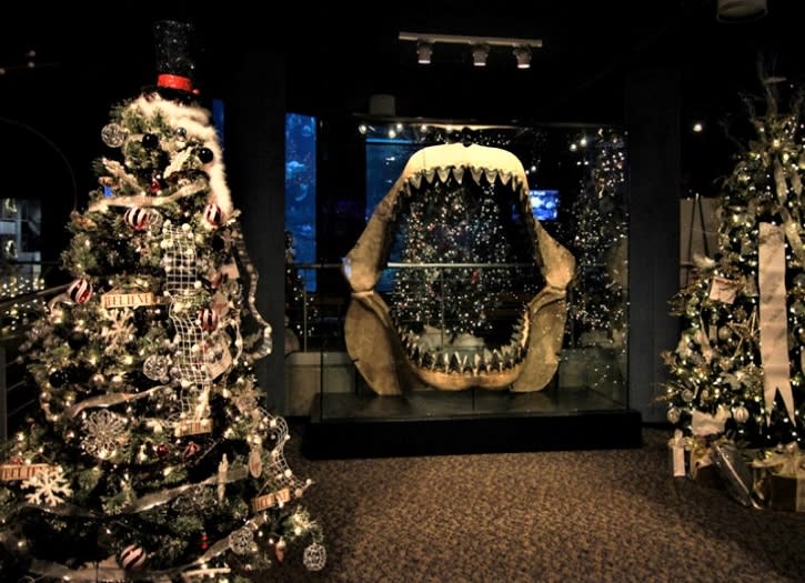 North Carolina Aquarium Festival of Trees in Fort Fisher North Carolina - Places to Stay near Fort Fisher Aquarium