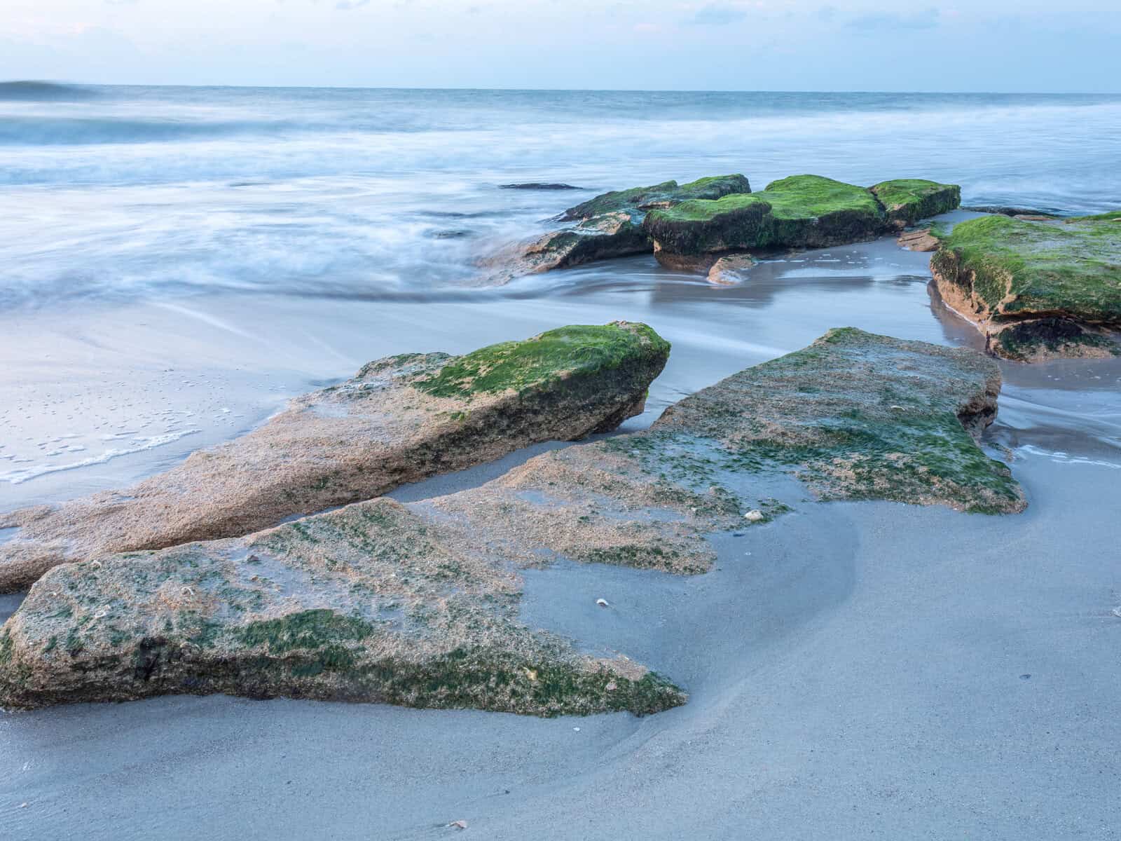 Fort Fisher Rocky Coquina Outcrop - Everything you Need to Know Before you Go Visit Fort Fisher, NC