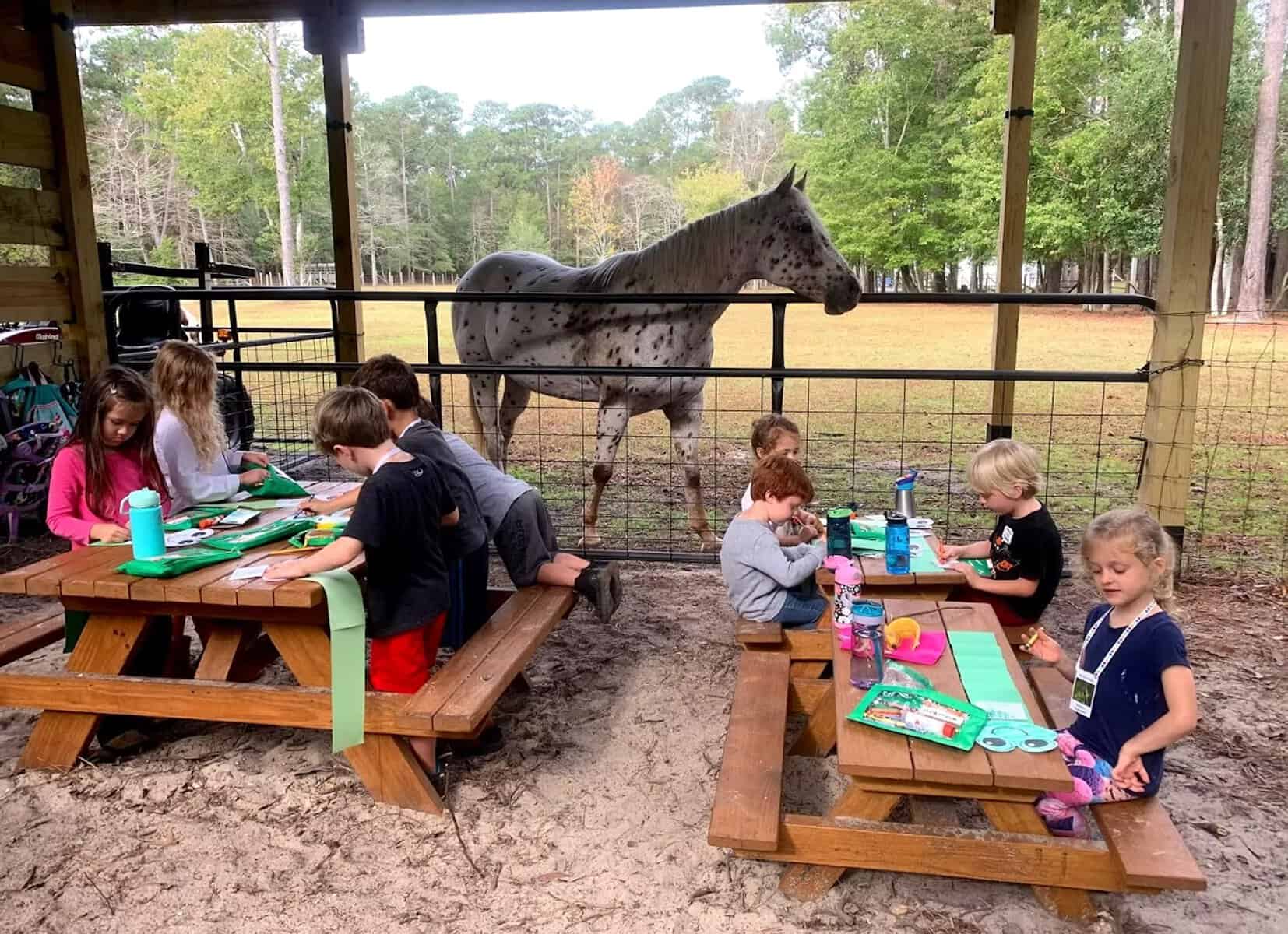 Seahorse Stables Equestrian Farm School located in Wilmington North Carolina - Carolina Beach Summer Camps