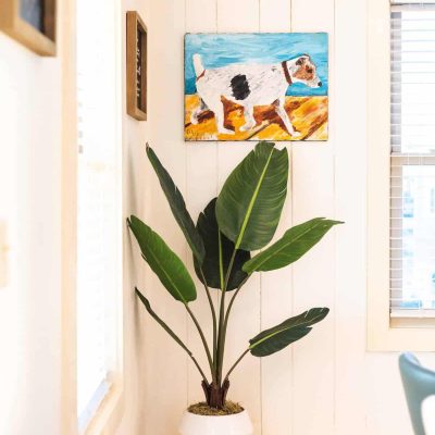 North Carolina Cottages - Great Vacation Homes in Carolina Beach for Rent