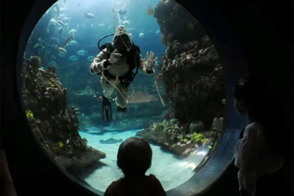 NC Aquarium Fort Fisher - Places to see, visit and explore in Wilmington, Carolina Beach, Kure Beach and Fort Fisher