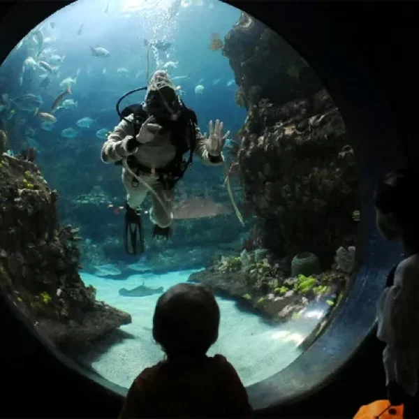 NC Aquarium Fort Fisher - Places to see, visit and explore in Wilmington, Carolina Beach, Kure Beach and Fort Fisher