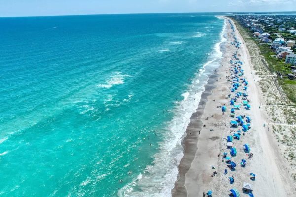 Welcome to the North Carolina Coast!